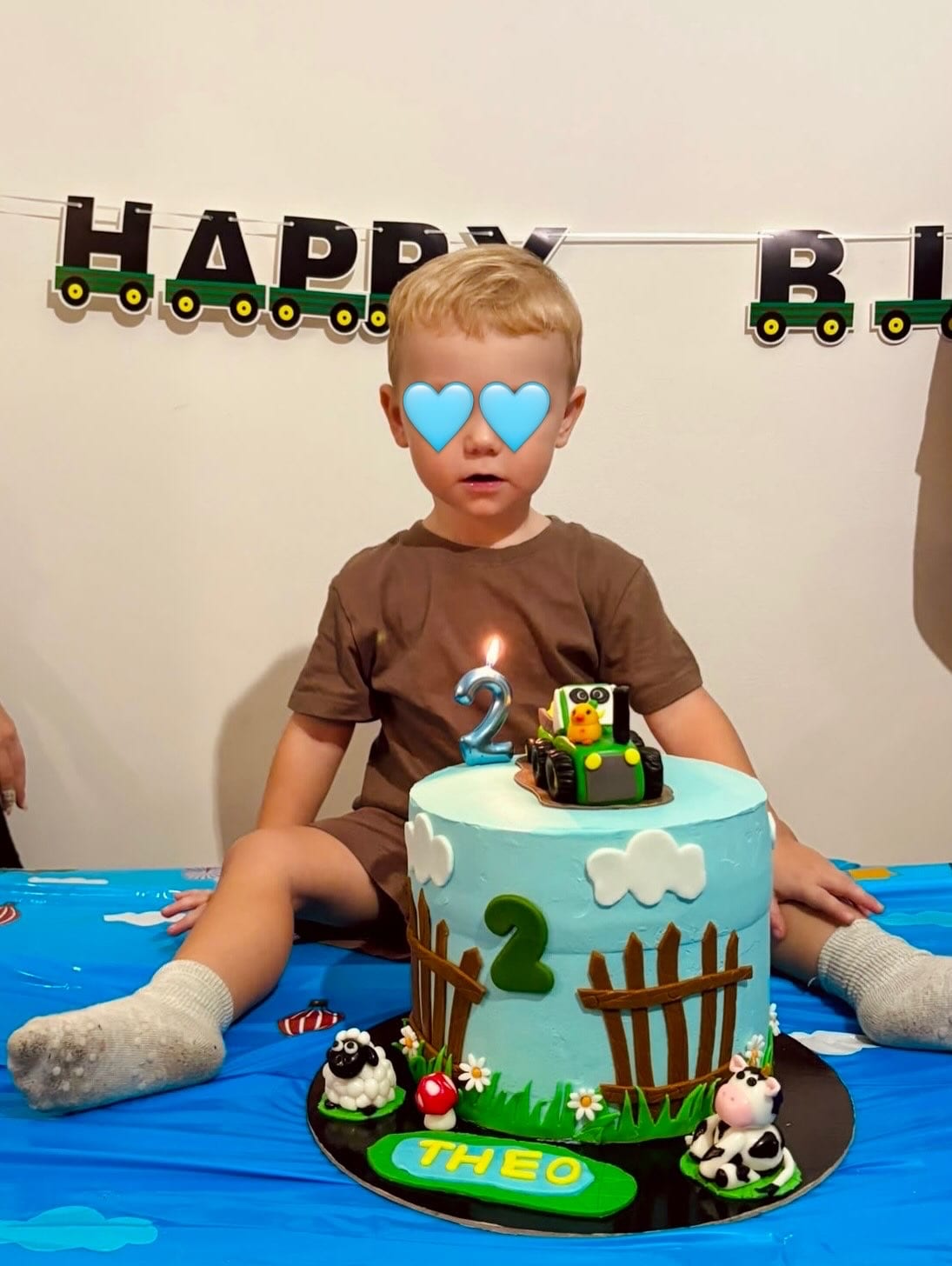 Theo, 2 anni con la sua torta fattoria Wonder Cake